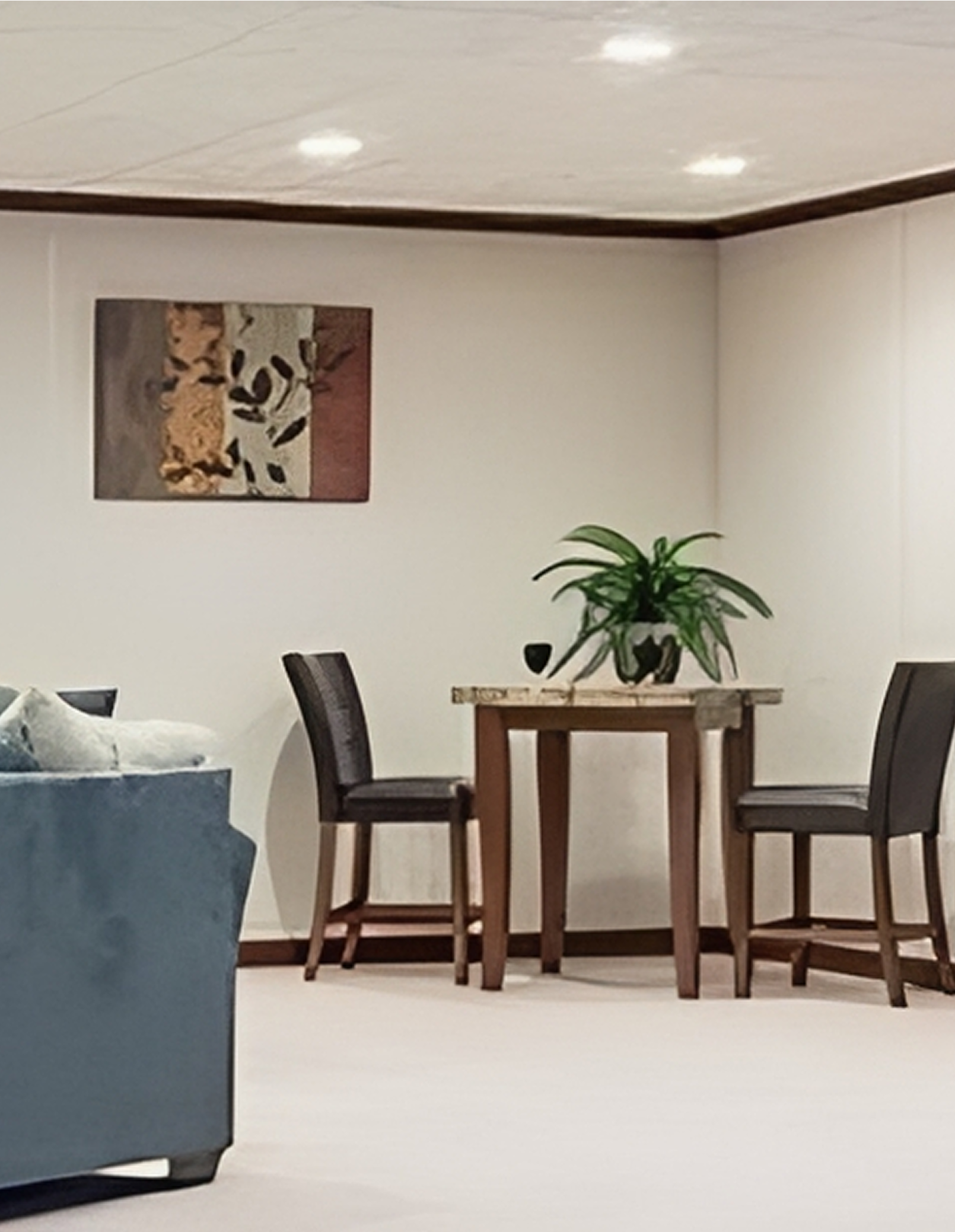 Cozy dining area with wooden table, chairs, and a plant in a bright room.