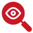 Defect Identification